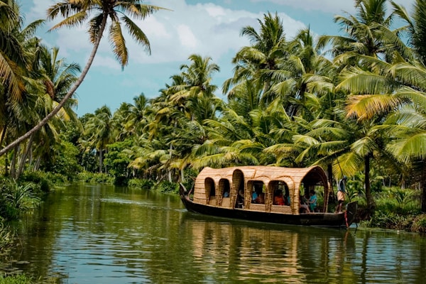 Kerala Backwaters & Hills